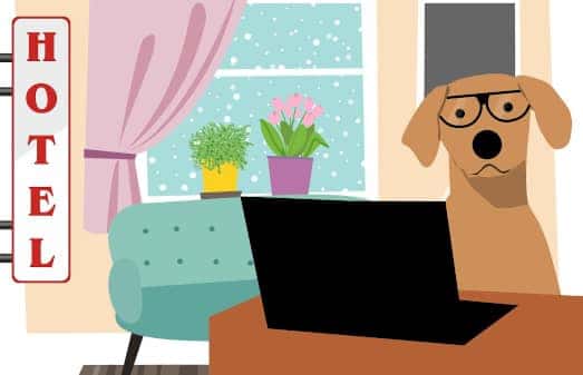 Ilustración de Mohamed Hassan de perro buscando hotel en computadora