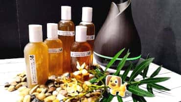 Shampoos y desinfectantes elaborados artesanalmente a base de extractos naturales